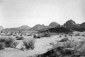 Im Wadi Rum