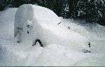 January   