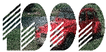 1999